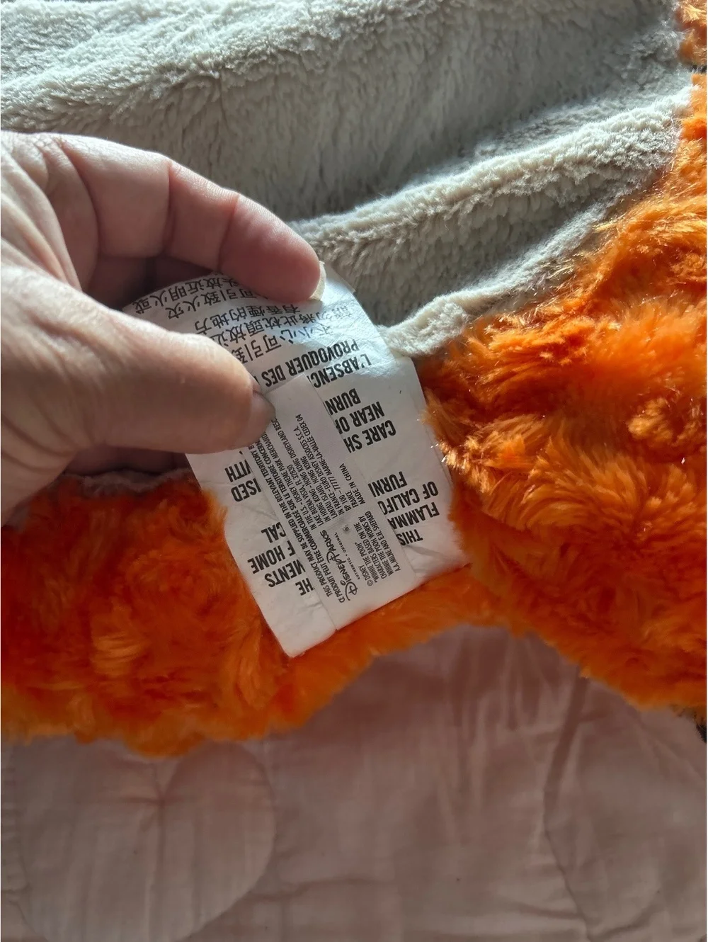 Disney’s parks, plush Tigger pillow